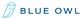 Blue Owl Capital Inc. stock logo